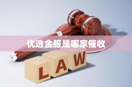 优选金服的催收机制与其在金融机构外包服务中的角色